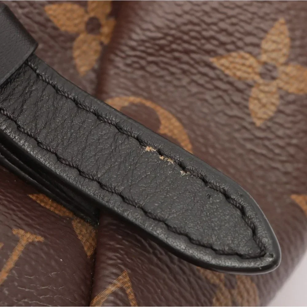 Louis Vuitton Palm Springs MM Monogram Backpack - Picture 16 of 16